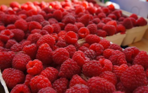 Himbeeren 1